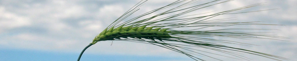 Dr. Claudia Spiess Huldi