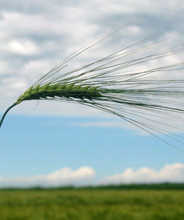 Dr. Claudia Spiess Huldi