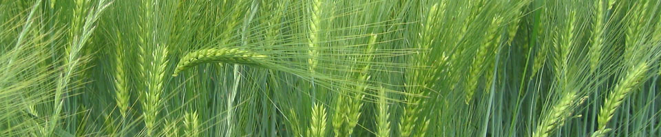 Dr. Claudia Spiess Huldi