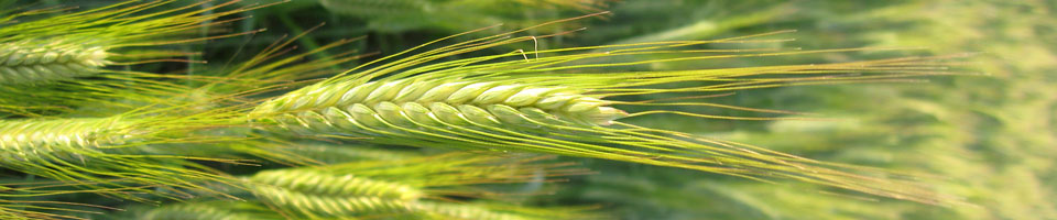 Dr. Claudia Spiess Huldi